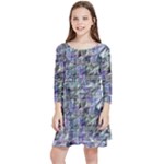 Fanciful (2) Kids  Quarter Sleeve Skater Dress