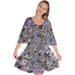 Fanciful (2) Velour Kimono Dress