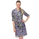 Fanciful (2) Long Sleeve Mini Shirt Dress