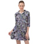 Fanciful (2) Mini Skater Shirt Dress