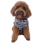 Fanciful (2) Dog Sweater