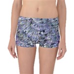 Fanciful (2) Boyleg Bikini Bottoms