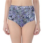 Fanciful (2) Classic High-Waist Bikini Bottoms