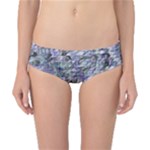 Fanciful (2) Classic Bikini Bottoms