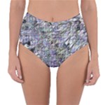 Fanciful (2) Reversible High-Waist Bikini Bottoms