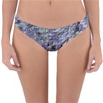 Fanciful (2) Reversible Hipster Bikini Bottoms