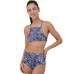 Fanciful (2) High Waist Tankini Set