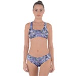 Fanciful (2) Criss Cross Bikini Set