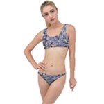 Fanciful (2) The Little Details Bikini Set