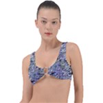 Fanciful (2) Ring Detail Bikini Top