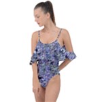 Fanciful (2) Drape Piece Swimsuit