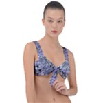 Fanciful (2) Front Tie Bikini Top