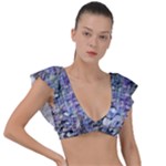 Fanciful (2) Plunge Frill Sleeve Bikini Top