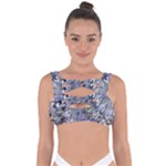 Fanciful (2) Bandaged Up Bikini Top