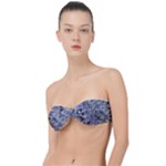 Fanciful (2) Classic Bandeau Bikini Top 