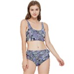 Fanciful (2) Frilly Bikini Set