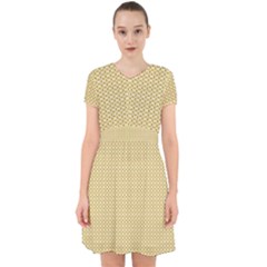 Adorable in Chiffon Dress 