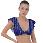 Holoplaid Plunge Frill Sleeve Bikini Top