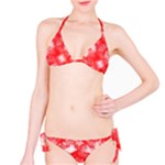 Redderite Classic Bikini Set
