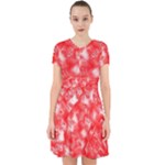 Redderite Adorable in Chiffon Dress