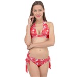Redderite Tie It Up Bikini Set