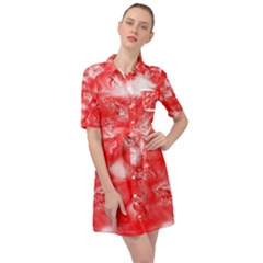 Belted Shirt Dress 