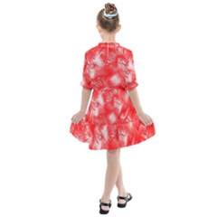 Kids  All Frills Chiffon Dress 