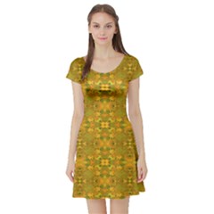 Short Sleeve Skater Dress Front Short Sleeve Skater Dress Front