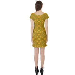 Short Sleeve Skater Dress Back Short Sleeve Skater Dress Back