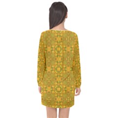 Long Sleeve Chiffon Shift Dress  