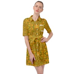 Belted Shirt Dress 
