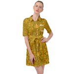 Togo (3) Belted Shirt Dress