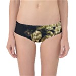 Bud Gilt  Classic Bikini Bottoms