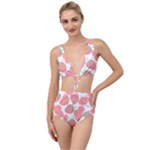 Strawberry Cow Pet Tied Up Two Piece Swimsuit