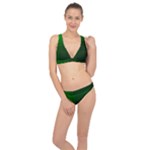 Zappwaits-green Classic Banded Bikini Set 