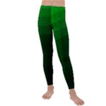 Zappwaits-green Kids  Lightweight Velour Leggings