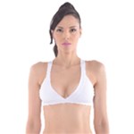 Untitled Design Plunge Bikini Top