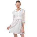 Untitled Design Mini Skater Shirt Dress