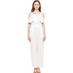Untitled Design Draped Sleeveless Chiffon Jumpsuit