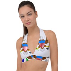 Halter Plunge Bikini Top 