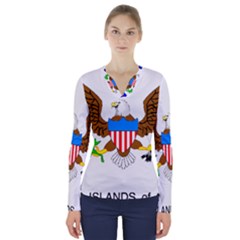 V-Neck Long Sleeve Top 
