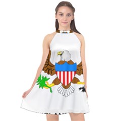 Halter Neckline Chiffon Dress  