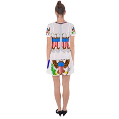 Drop Hem Mini Chiffon Dress 