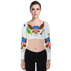 Velvet Long Sleeve Crop Top 