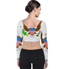 Velvet Long Sleeve Crop Top 