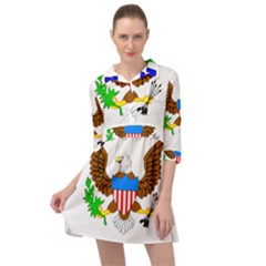Mini Skater Shirt Dress 