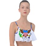 E8cftciweaqngbg Frill Bikini Top