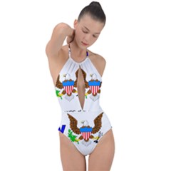 Plunge Cut Halter Swimsuit 