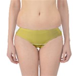 E8kogkcwqam3rmd Hipster Bikini Bottoms