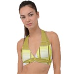E8kogkcwqam3rmd Halter Plunge Bikini Top